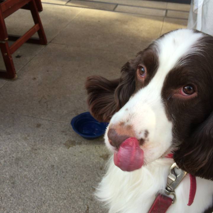 4d93f31f 8f8e 4196 8f5e 748caddb4d11