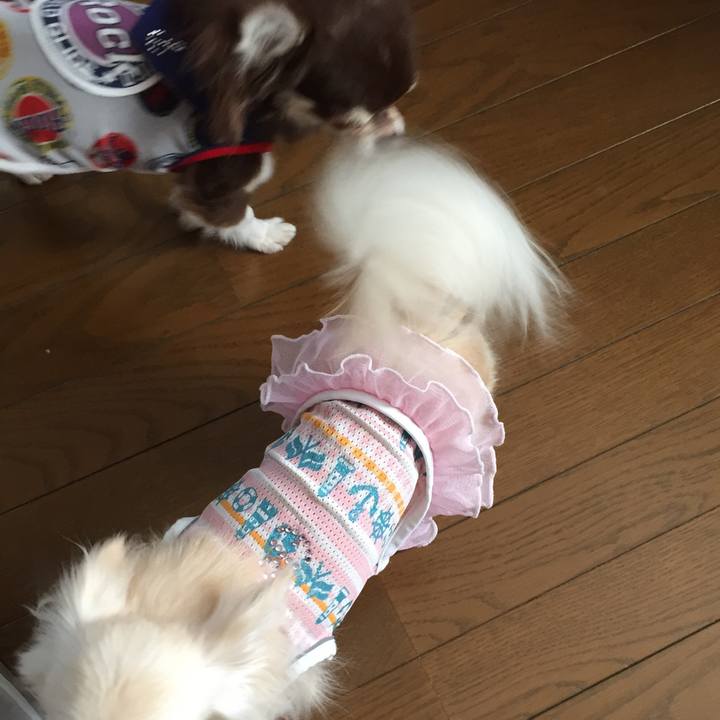 4d949cb9 20b9 4777 9089 056de9adb7c1