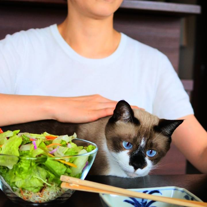 4d94f386 7245 4f07 b306 d017a367df5a