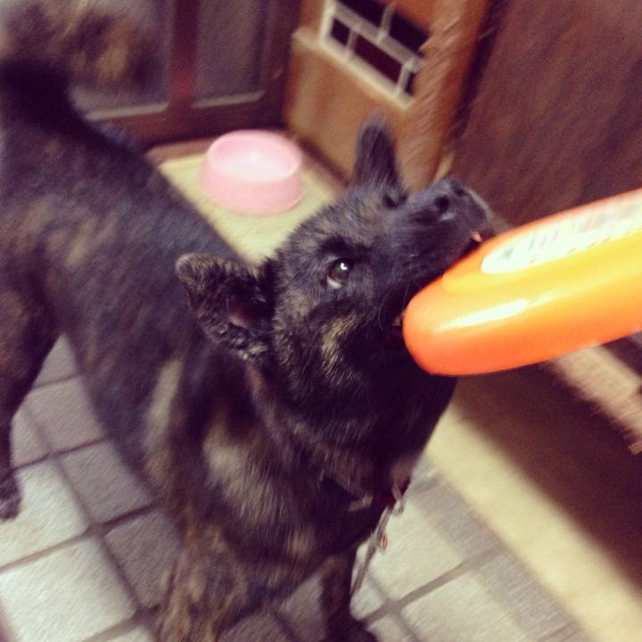 4d954777 a6b1 4f65 b66f 6157f1d6986c