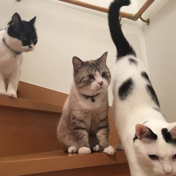 4d95b7dd dcc6 4da4 9c47 3e6c97c66bfc