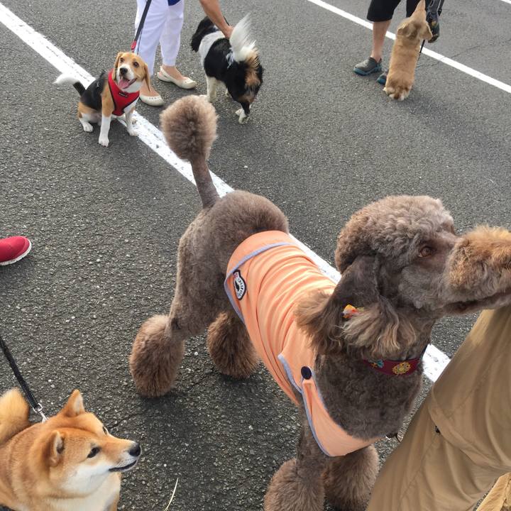 4d96178d 32fa 48fc 8b5c 192e19df5820