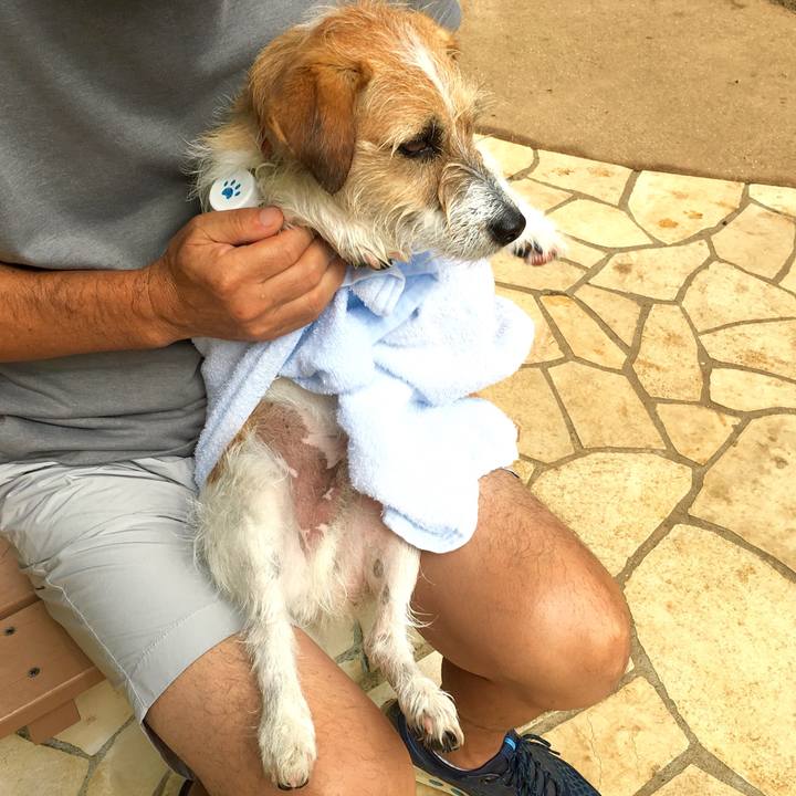 4d96596a d35a 40e3 927e 0d1fdb7b96dc