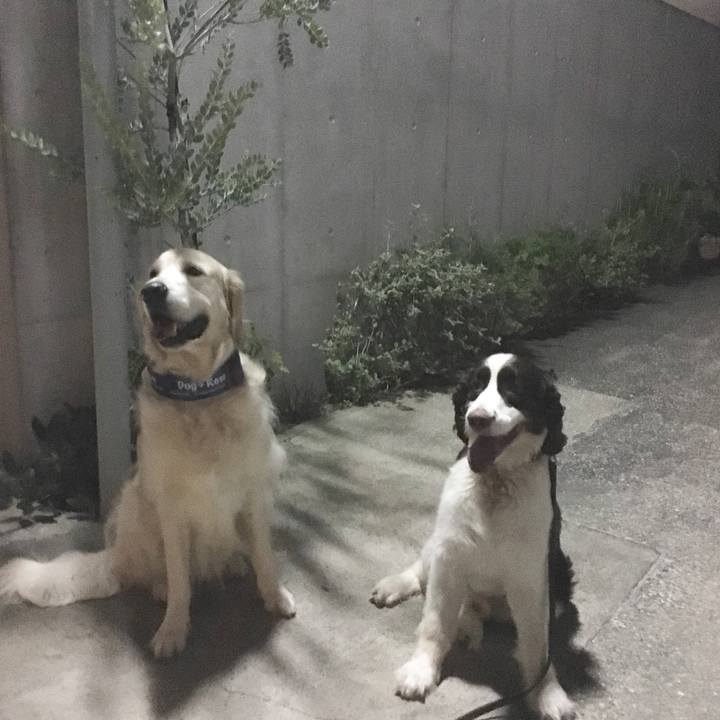 4d96dcdd 1a5e 4d52 aa2e 63e180c3cb44