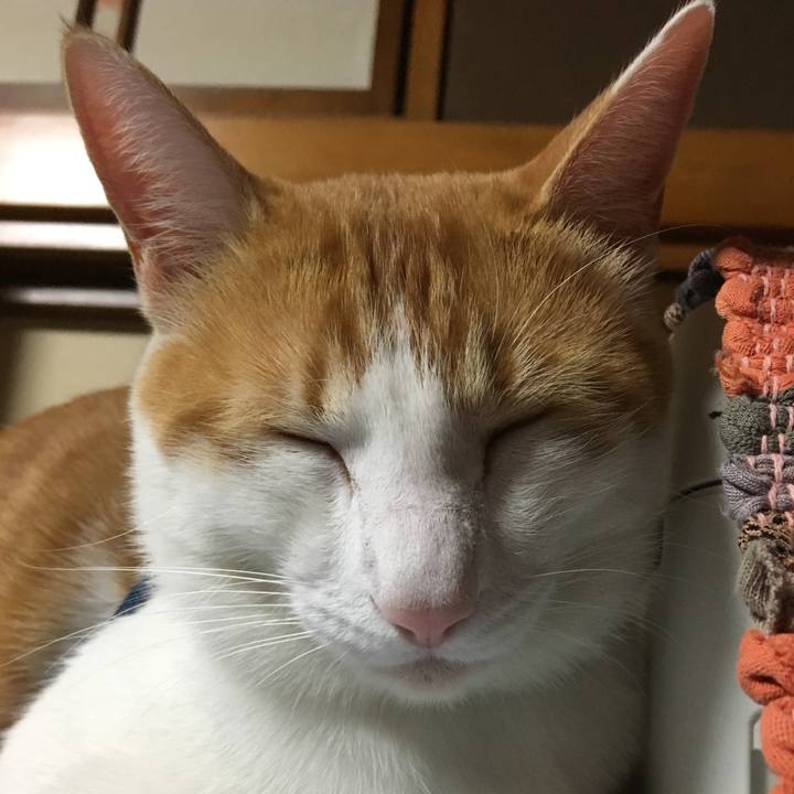 4d9800be 0b01 4bda a46f 6776a817ec18