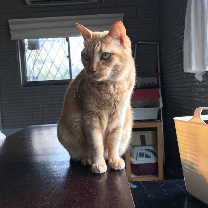 4d989126 3b94 43dd 9be9 a00bd7dc461e