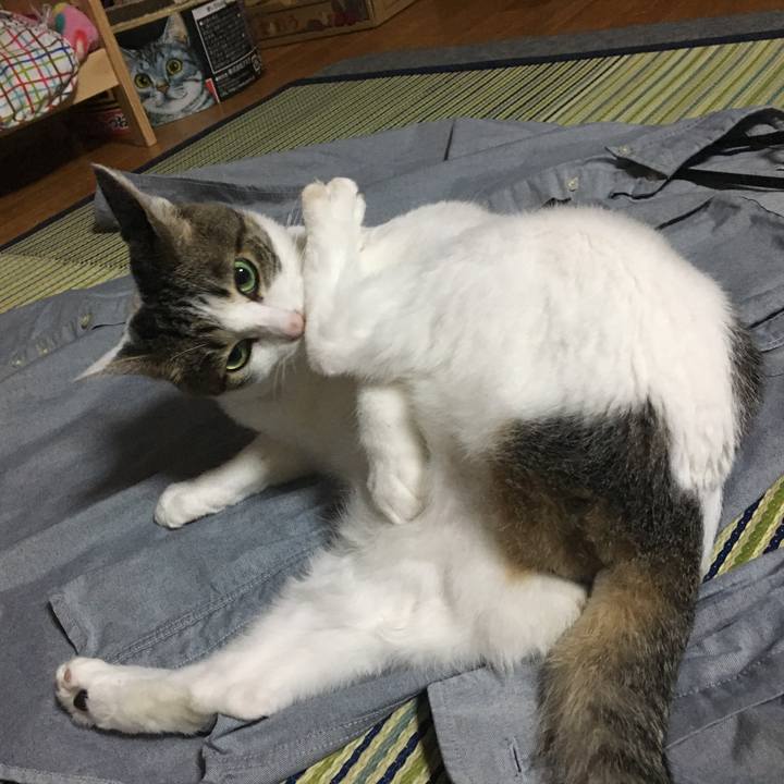 4d98a210 ab11 46b0 acb0 c3f162429223