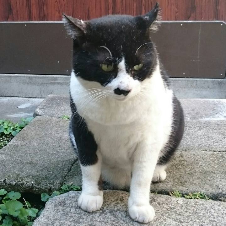 4d98de44 ece0 4d22 b828 7862b038c98c