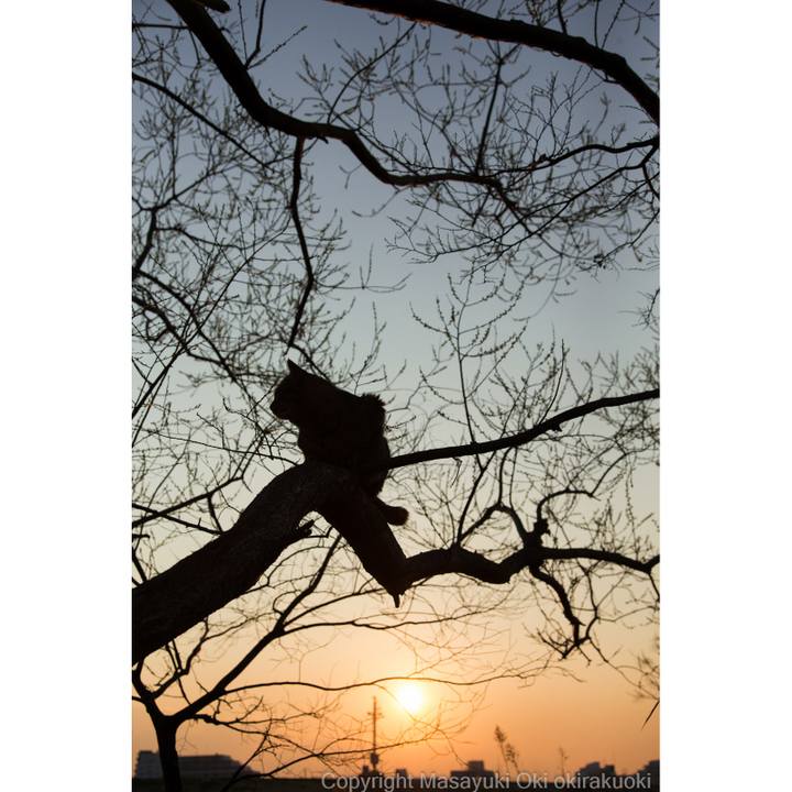 4d990ae9 cb1a 4a4d a8e4 cba5acbff2db