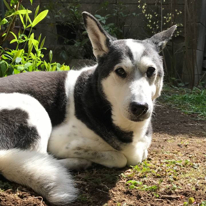 4d990fc3 b937 4242 9630 40103759af73