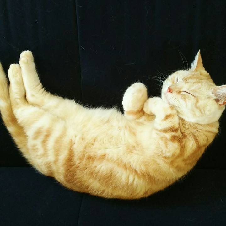 4d9953ce 2f88 4ef7 a94b 5bd997bd7af1