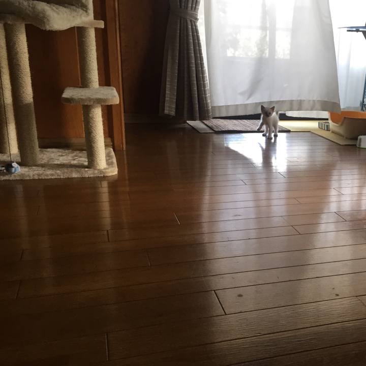 4d996687 cc45 48fc 9d0c b8f05f576af7