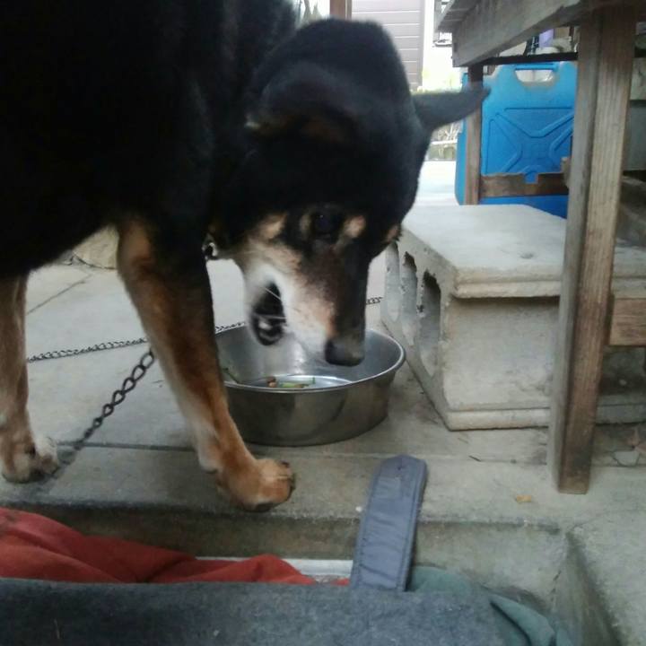 4d9a14bb 9007 40ea 981f 6063ac412181