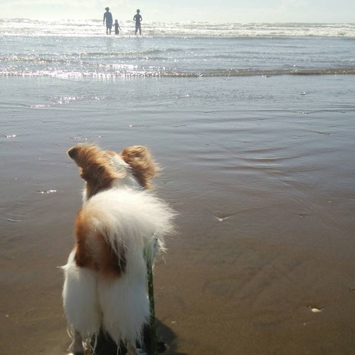 4d9a4b3d 9ec5 4387 a151 a1b67252ae27