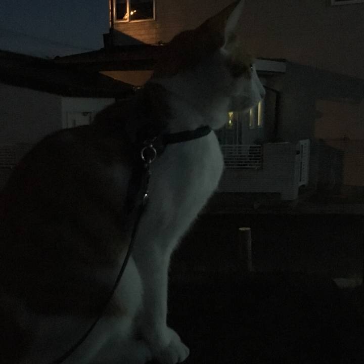 4d9a608d ac00 4292 94aa 5617c1f26050