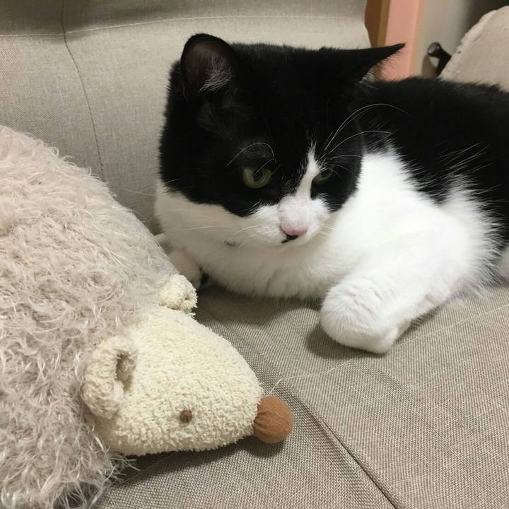 4d9a796e 7f0a 45ff 8eb1 fbc8b5af72bf