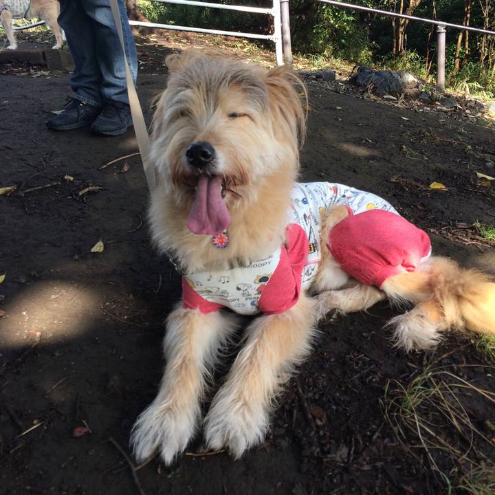 4d9abcbc 82b3 4d6a 9b66 d03d68e616f6