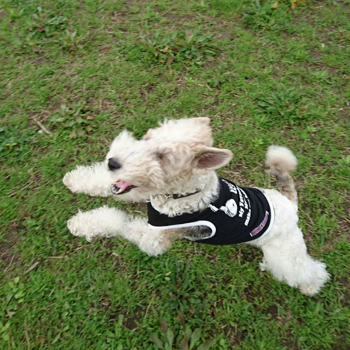 4d9b528e 3460 4661 ac7a 2da3516bb965