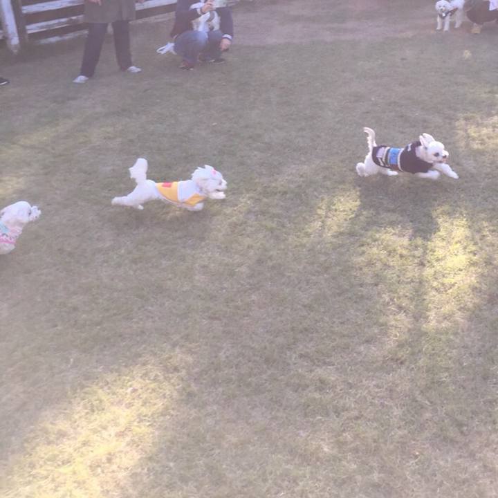 4d9b98f9 25c9 4bec 86ef 26151d372ca4