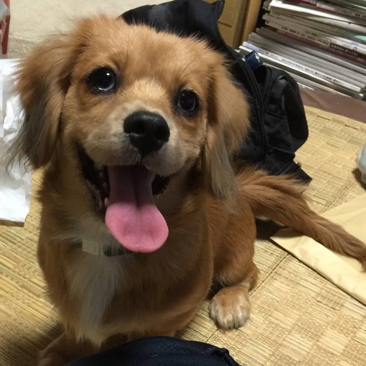 4d9c28d3 479c 4267 add1 9cb4b3dd9aea