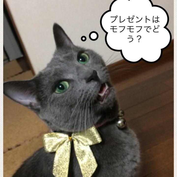 4d9d1853 9098 4426 be3b c034368b61bb