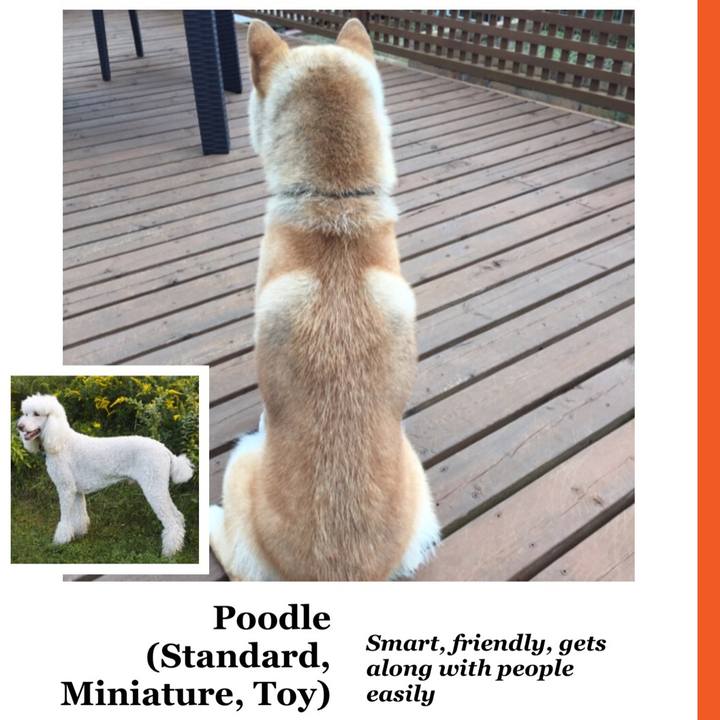 4d9d5733 6397 47a6 8e1e 519df21e1050