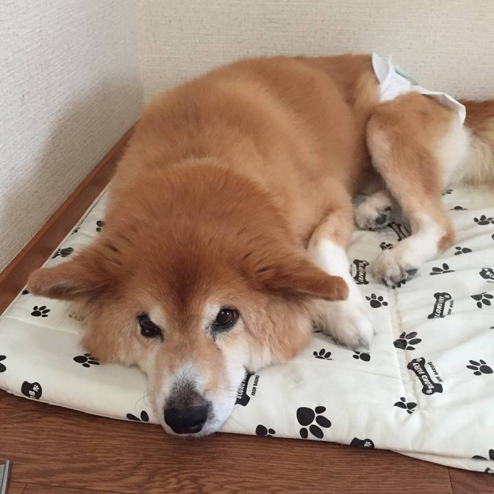 4d9d9028 d843 4bb8 ada5 1fa6a44d9b8f