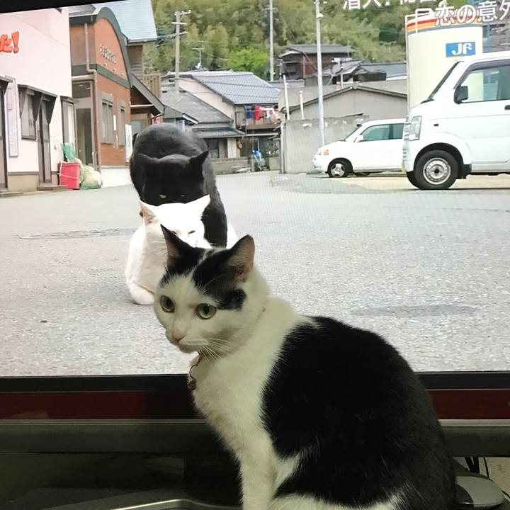 4da03fae 432b 4e23 beb9 50fa771cbcc5