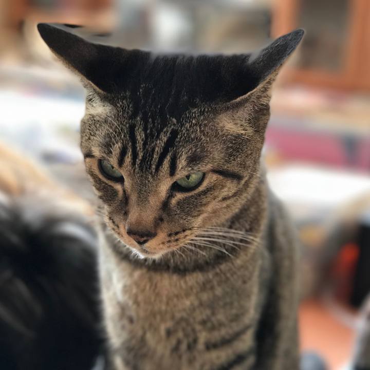 4da0ba34 9401 4556 b5de f4a9e4140b84