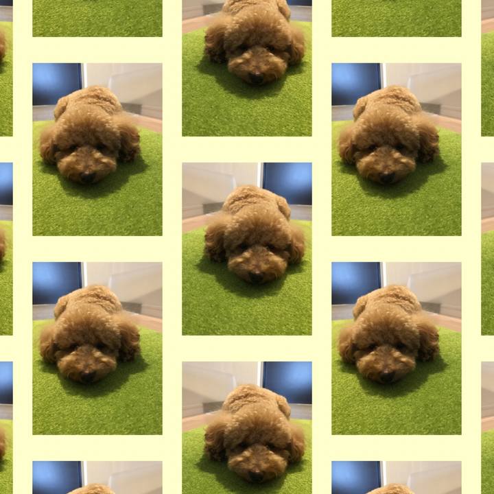 4da0c82a 0075 457a 86a4 34984679d6d5