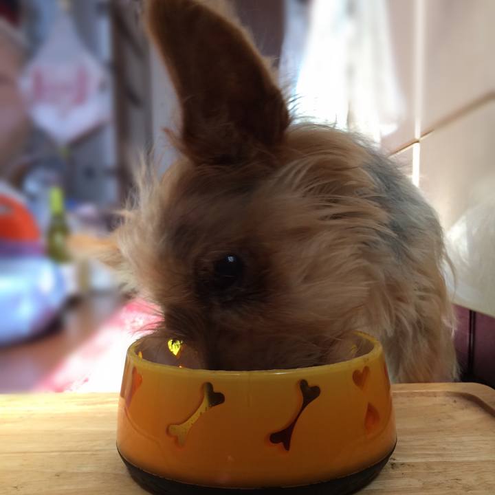 4da157e1 d0b8 4924 86e9 25b08bcfa05e