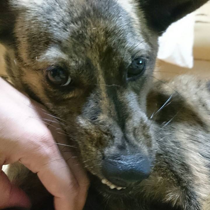 4da24730 8583 46eb 8ab2 89f3213e5cab