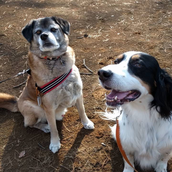 4da247b2 865f 49db 8a79 fc4f00128083