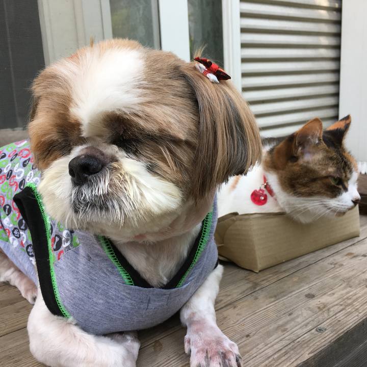 4da2e909 3a69 4bbc 9284 eeee3388ccb3