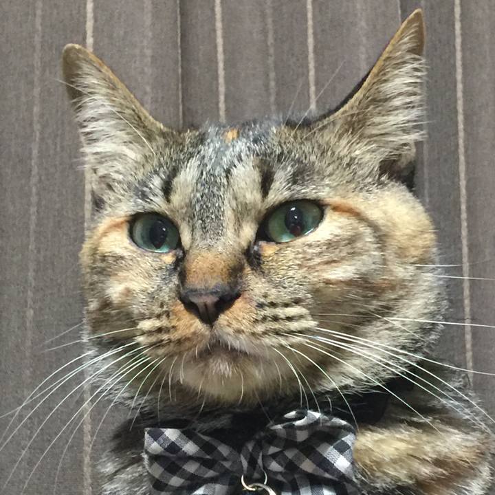 4da3b251 d014 48dc baaa 4d13d0b59f8b