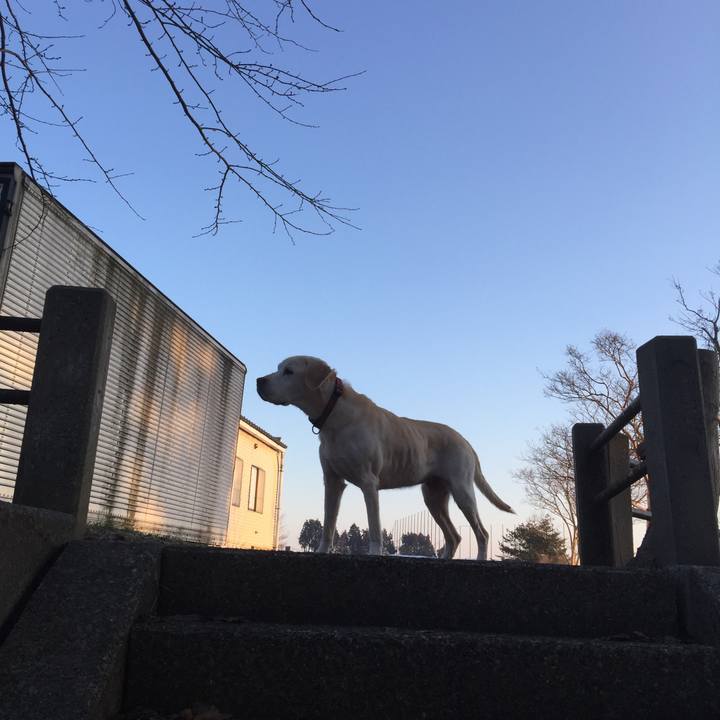 4da40d71 4b7a 481e 9843 61b769cc250c