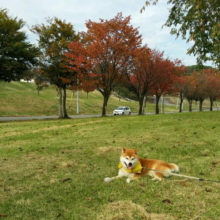 4da52366 8fc6 46e8 b8f2 1734cc2e5d28