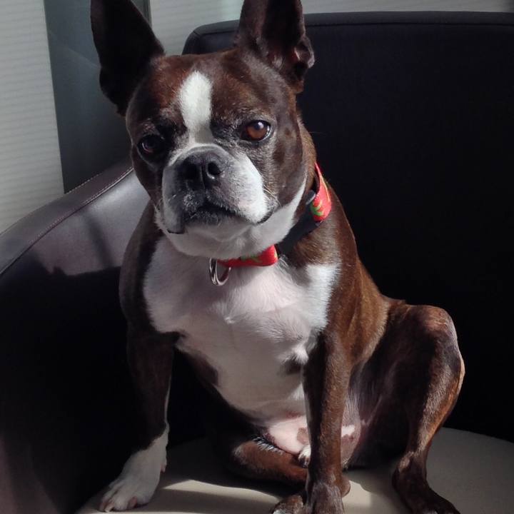 4da53b73 488d 4629 9a2d d44a21771452