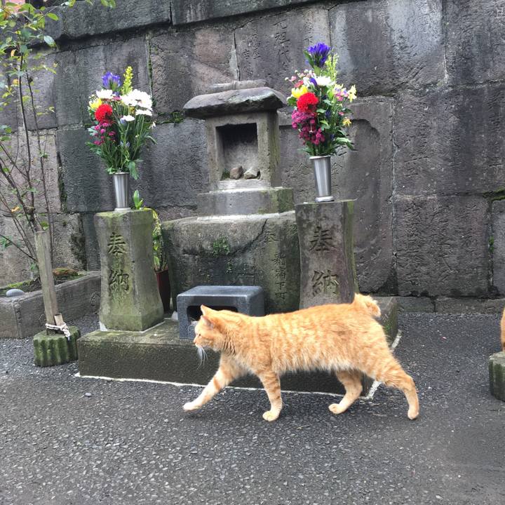 4da561a4 998a 49b0 af15 1732faabf5fc