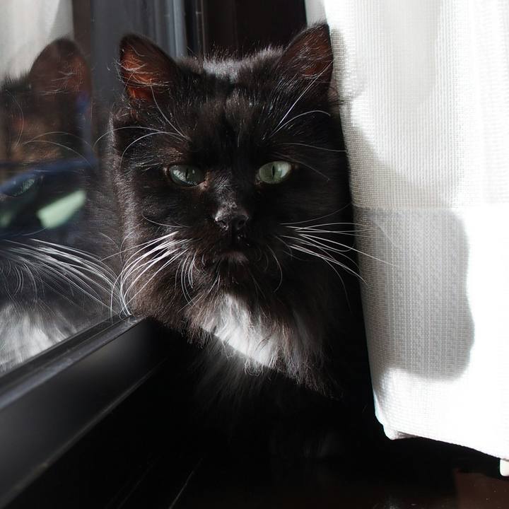 4da566dd b150 4b22 963a 22487cd590b1