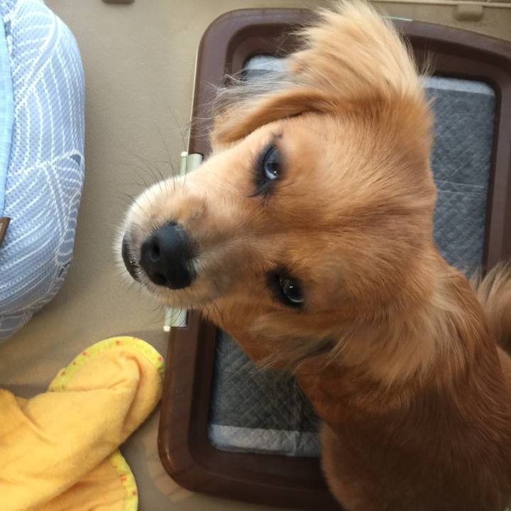 4da56c70 30e7 4cb9 8d6d 80dfaad8afa9