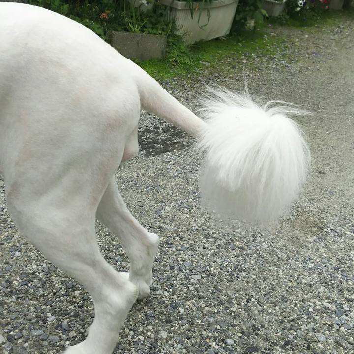 4da59aaf 3120 4956 9b6f 7a8ab1da7cc1