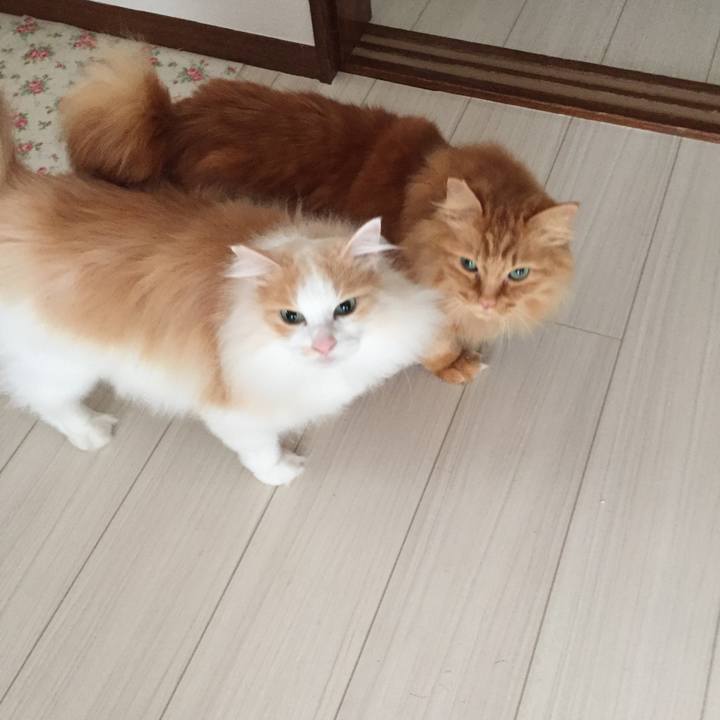 4da5c36b 821b 4adc 8710 1c9efd38c60c