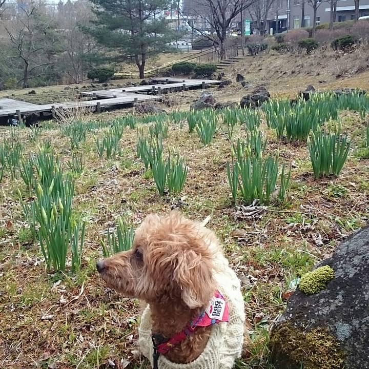 4da67d16 1234 41c4 a7a8 f94320d27fdb