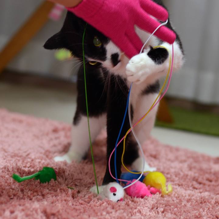 4da6d1d9 0746 4c59 aed3 2bdd47386fdd