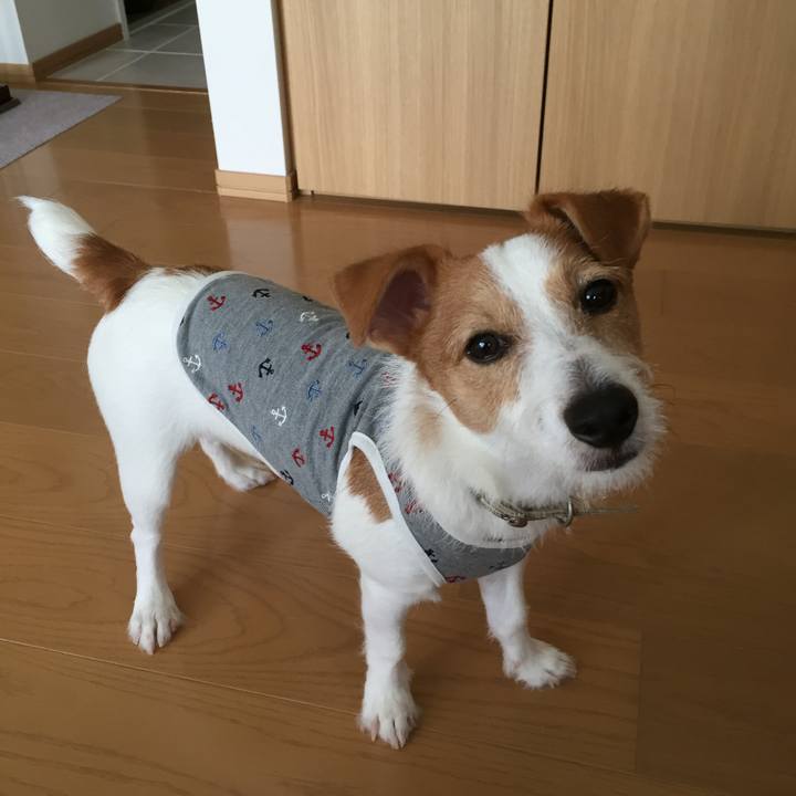 4da6de9d e4d1 44e6 a5e2 ded3d8d2dcda