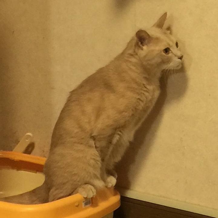 4da6f999 f28e 40ed 8d2d 7cd686ca93dd