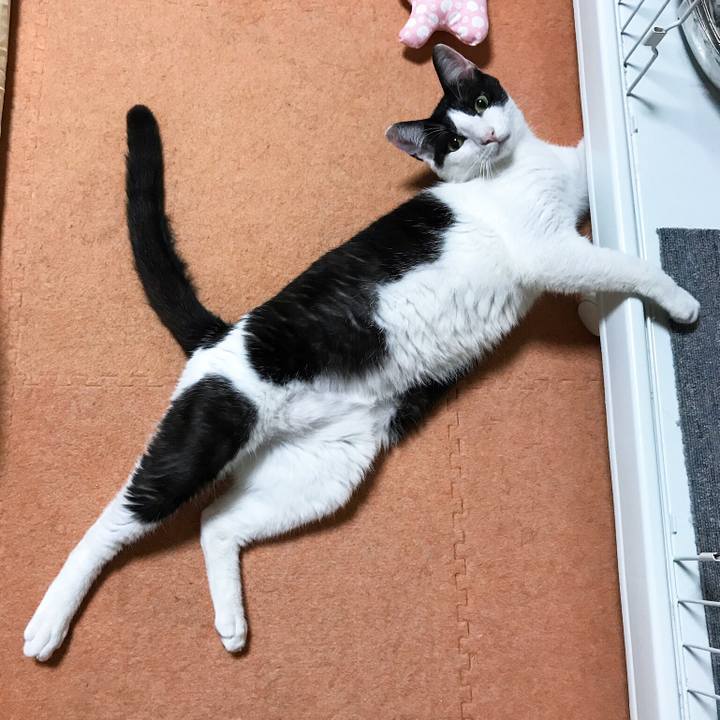 4da7e9b9 619a 4705 a763 80c7916d6be9