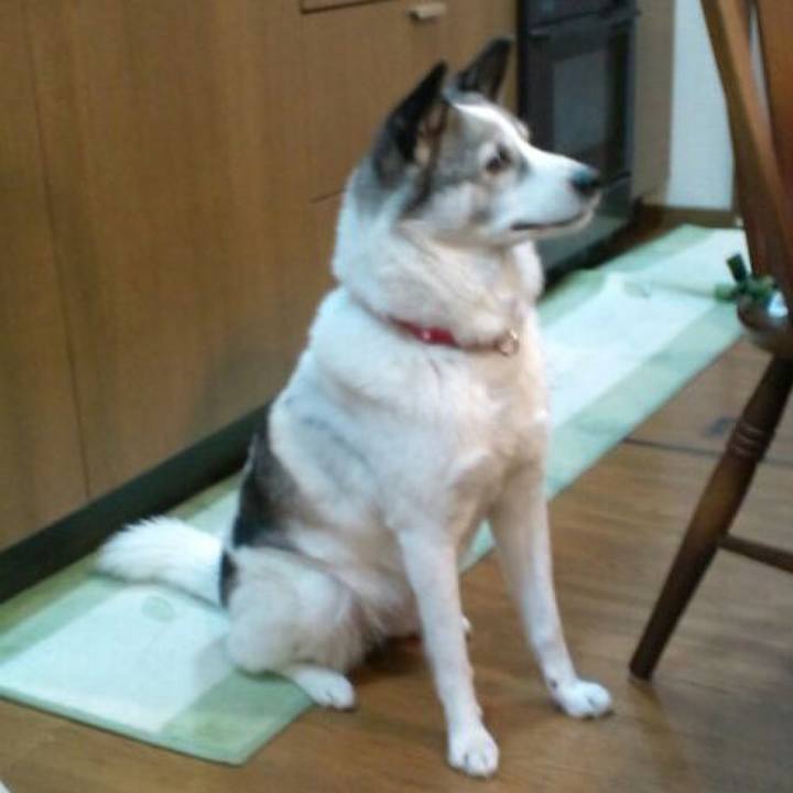 4da7fd59 4124 42e7 90b7 b6c12f5b009f