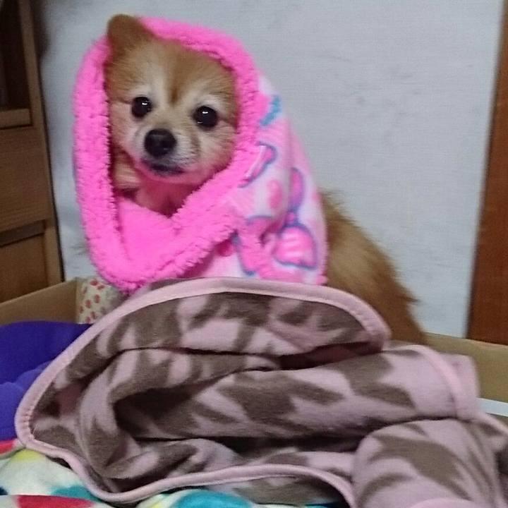 4da80e20 daec 451b b309 a312c27d2e6a